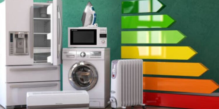 Ekologiczne urządzenia domowe: Przyszłość zrównoważonego życia