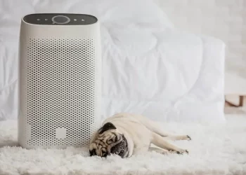 Oczyszczacze powietrza