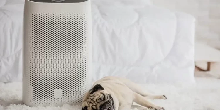 Oczyszczacze powietrza
